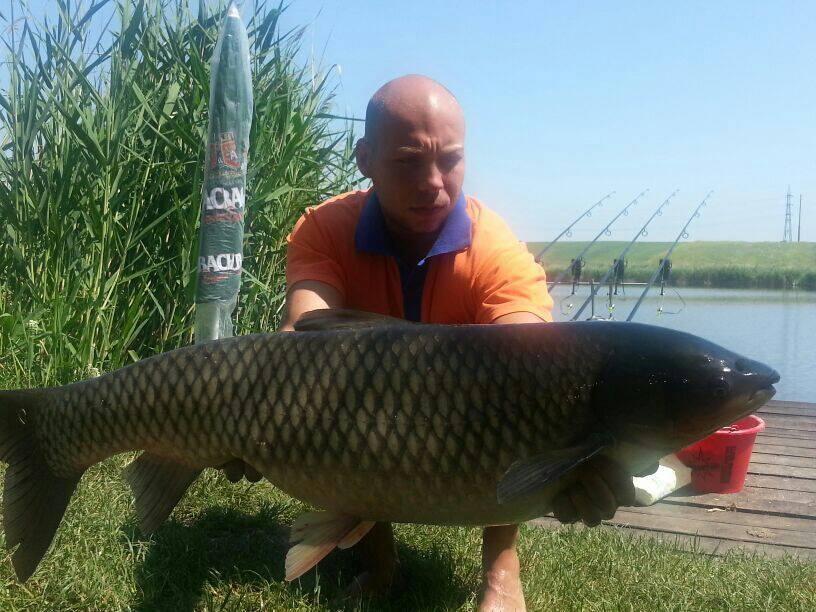 campion printre campioni - cteno.jpg